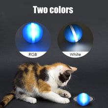 Load image into Gallery viewer, LED Pet Motion Ball - Eternimo