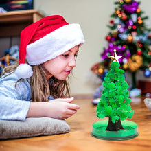 Load image into Gallery viewer, Magic Growing Christmas Tree