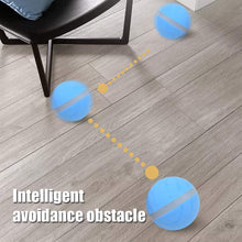 Load image into Gallery viewer, LED Pet Motion Ball - Eternimo