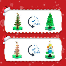 Load image into Gallery viewer, Magic Growing Christmas Tree