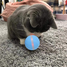 Load image into Gallery viewer, LED Pet Motion Ball - Eternimo