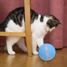 Load image into Gallery viewer, LED Pet Motion Ball - Eternimo