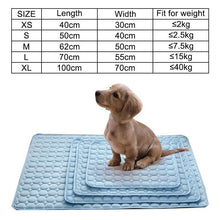 Load image into Gallery viewer, Pets Cooling Mat - Eternimo