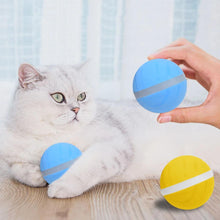 Load image into Gallery viewer, LED Pet Motion Ball - Eternimo