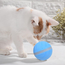 Load image into Gallery viewer, LED Pet Motion Ball - Eternimo