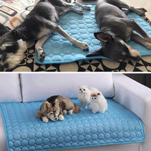 Load image into Gallery viewer, Pets Cooling Mat - Eternimo