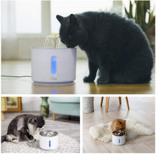 Load image into Gallery viewer, Automatic Pet Fountain - Eternimo

