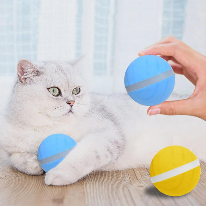 LED Pet Motion Ball - Eternimo